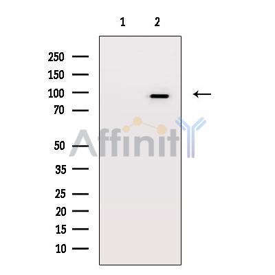 Валидация Affinity AF6170 - 3389