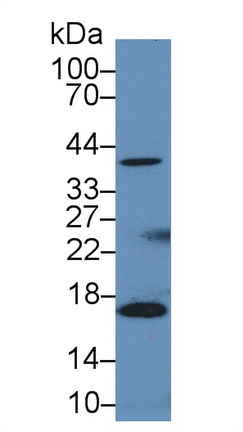 14708