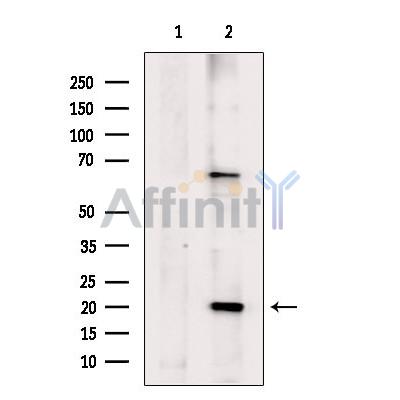 Валидация Affinity DF7659 - 19427