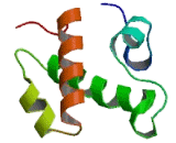 SWI/SNF Related, Matrix Associated, Actin Dependent Regulator Of Chromatin, Subfamily C, Member 1 (SMARCC1)