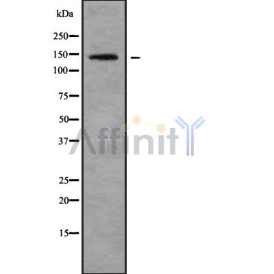 Валидация Affinity DF10218 - 5787