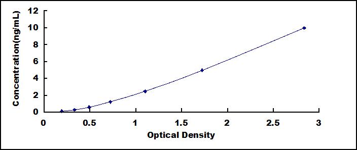 37604