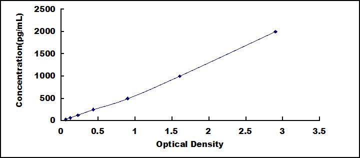 35904