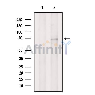 Валидация Affinity DF4638 - 16282