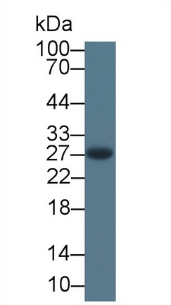 14859