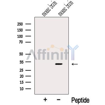 Валидация Affinity DF12582 - 7195