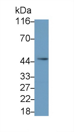 10180