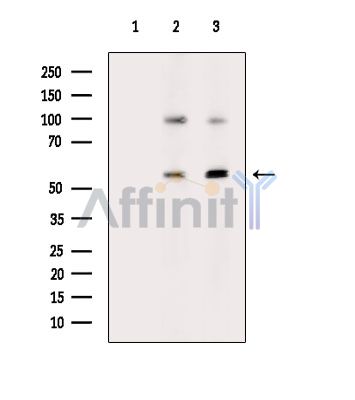 Валидация Affinity DF14029 - 9794