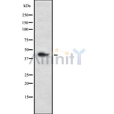 Валидация Affinity DF8362 - 20224