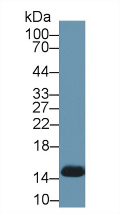 13382