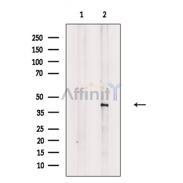 Валидация Affinity DF7578 - 19344