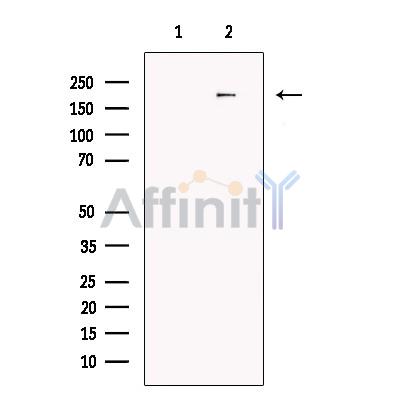 Валидация Affinity DF13737 - 9382