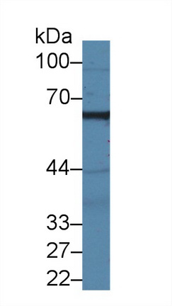 10344