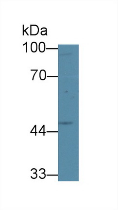 12839