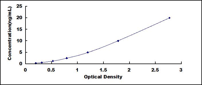 65068