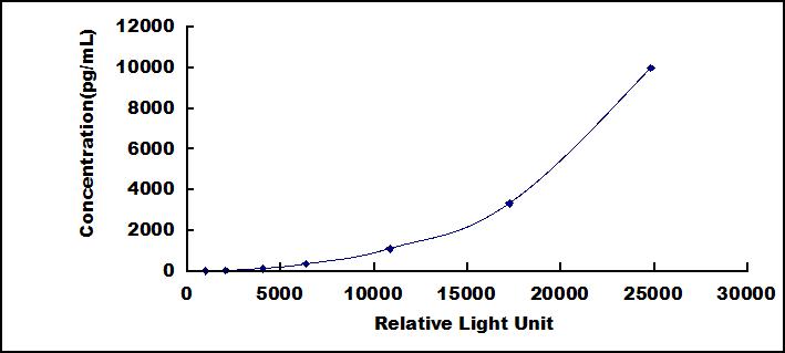 46273