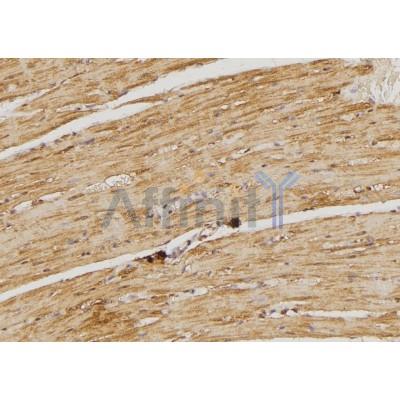 Валидация Affinity DF3413 - 14315