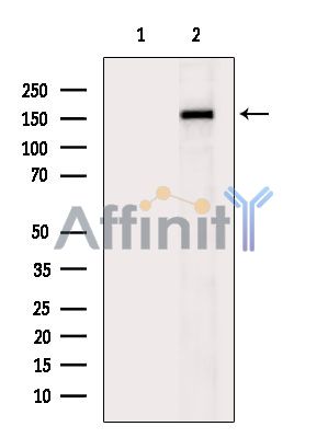 Валидация Affinity DF2548 - 13211