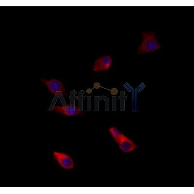 Валидация Affinity DF6902 - 18497