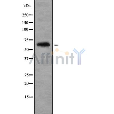 Валидация Affinity DF9158 - 21515