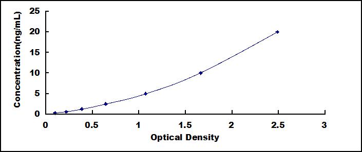 65137