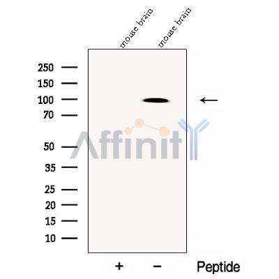 Валидация Affinity DF12897 - 7643