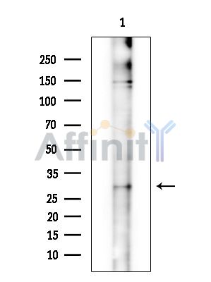 Валидация Affinity DF13845 - 9547