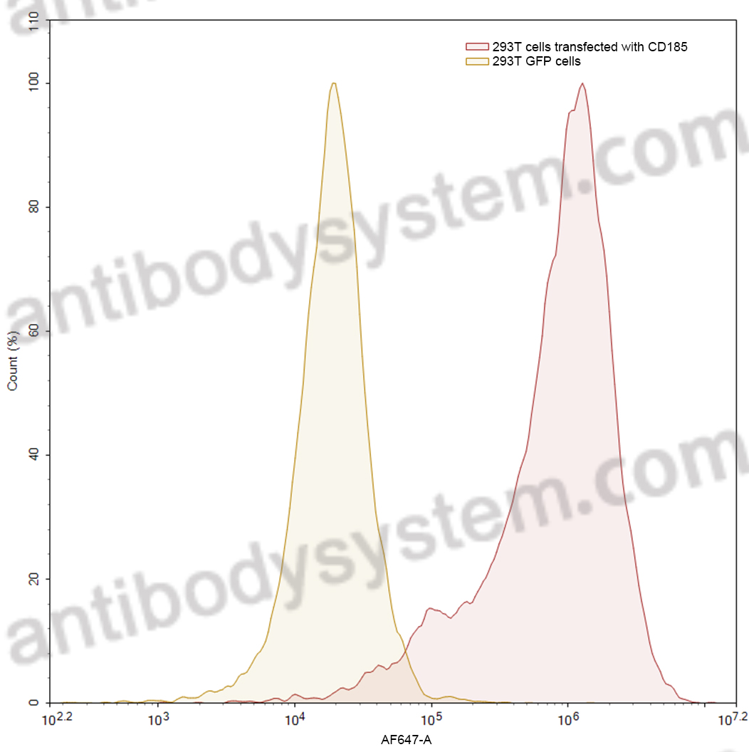 Валидация AntibodySystem FHD99910
