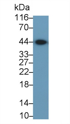 26940