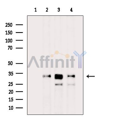 Валидация Affinity DF4011 - 15254