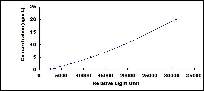 65057