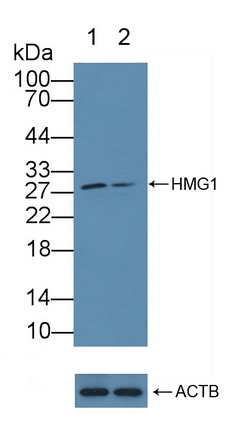 12098