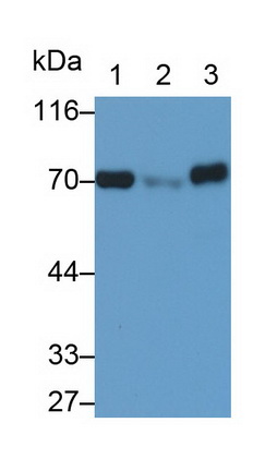 6829