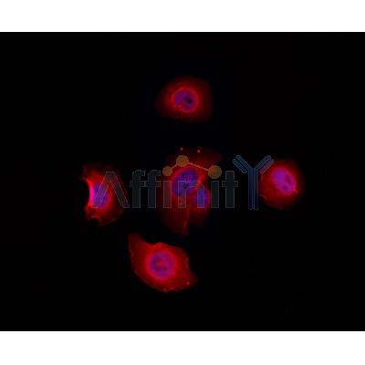 Валидация Affinity DF3123 - 13898