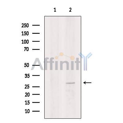 Валидация Affinity DF7000 - 18637