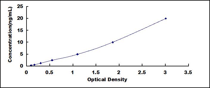 65060