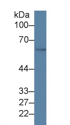 9888