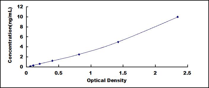 59582