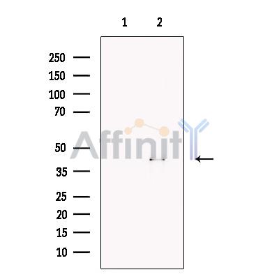 Валидация Affinity DF7075 - 18714