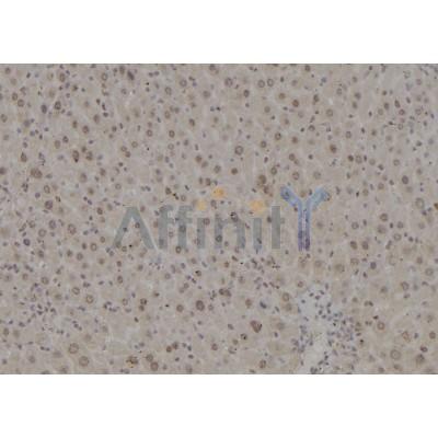 Валидация Affinity DF6960 - 18577