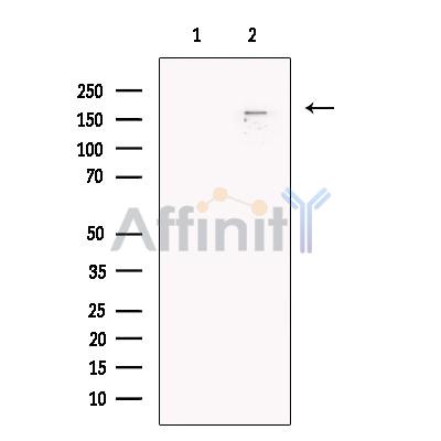 Валидация Affinity DF13596 - 9083