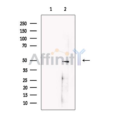 Валидация Affinity DF13363 - 8590