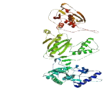Zinc Finger Protein 236 (ZNF236)