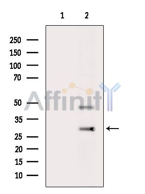 Валидация Affinity DF13864 - 9581