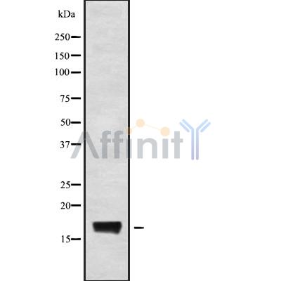 Валидация Affinity DF9423 - 21981