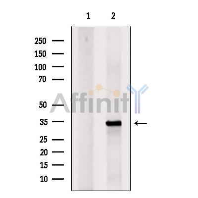 Валидация Affinity DF7720 - 19512