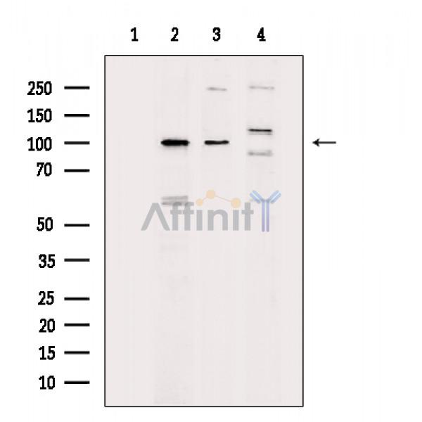 Валидация Affinity DF13840 - 9537
