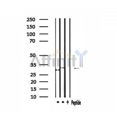 Валидация Affinity DF2685 - 13393