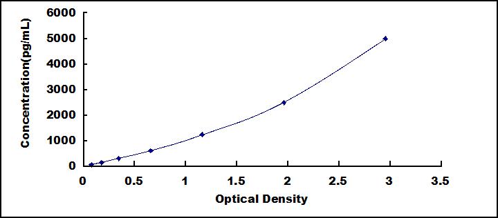 33748