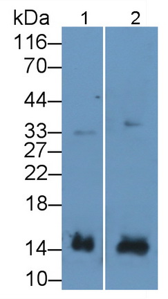 20714